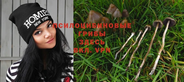 ГАЛЛЮЦИНОГЕННЫЕ ГРИБЫ Семикаракорск