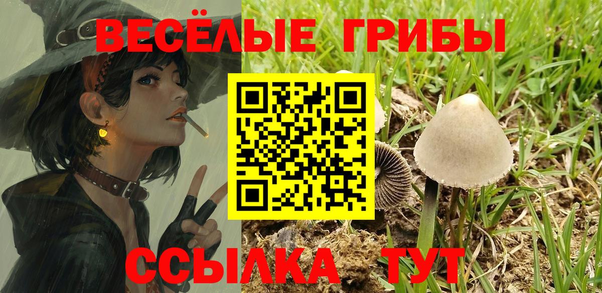 где продают наркотики  Галлюциногенные грибы Psilocybine cubensis  Вход с VPN  Спасск-Дальний 