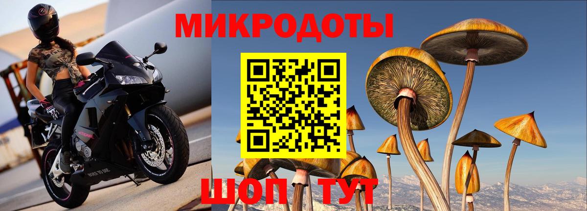 Галлюциногенные грибы мухоморы  Спасск-Дальний  Галлюциногенные грибы Psilocybe 